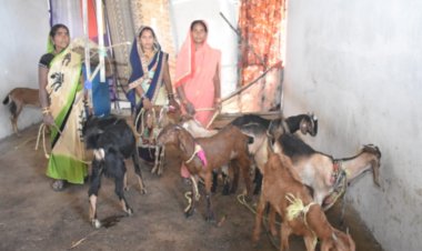 गौठानों से स्व सहायता समूह की महिलाएं बन रही सक्षम