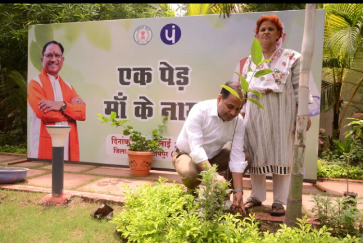 कलेक्टर डाॅ. गौरव सिंह ने एक पेड़ मां के नाम अभियान के तहत किया वृक्षारोपण